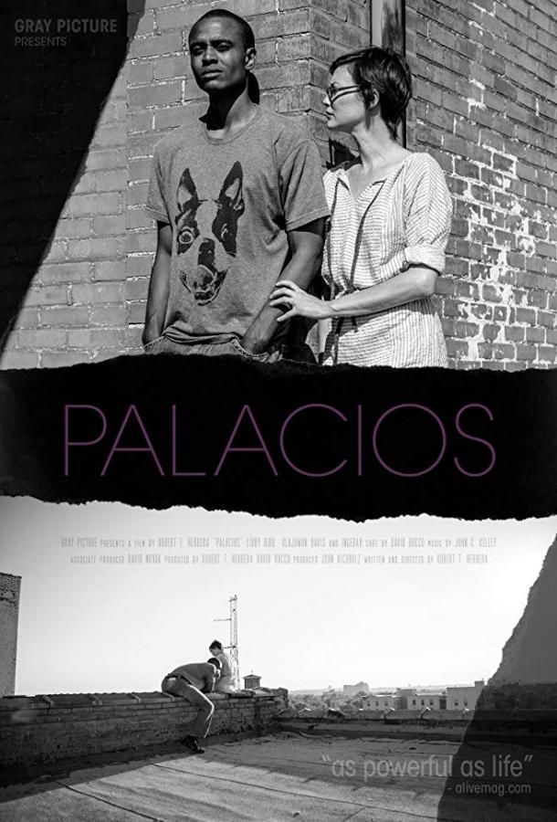 Palacios (2017)