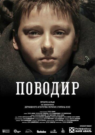 Поводырь (2013)