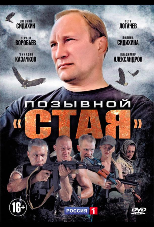 Позывной «Стая» (2013)