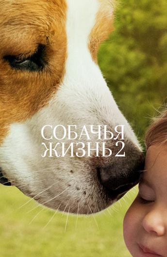 Собачья жизнь 2 (2019)