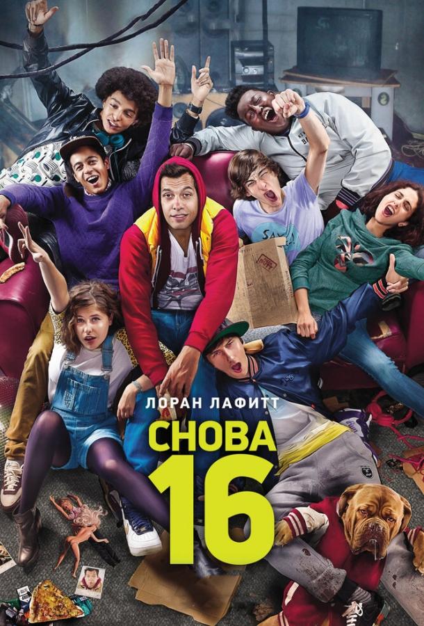 Снова 16 (2013)