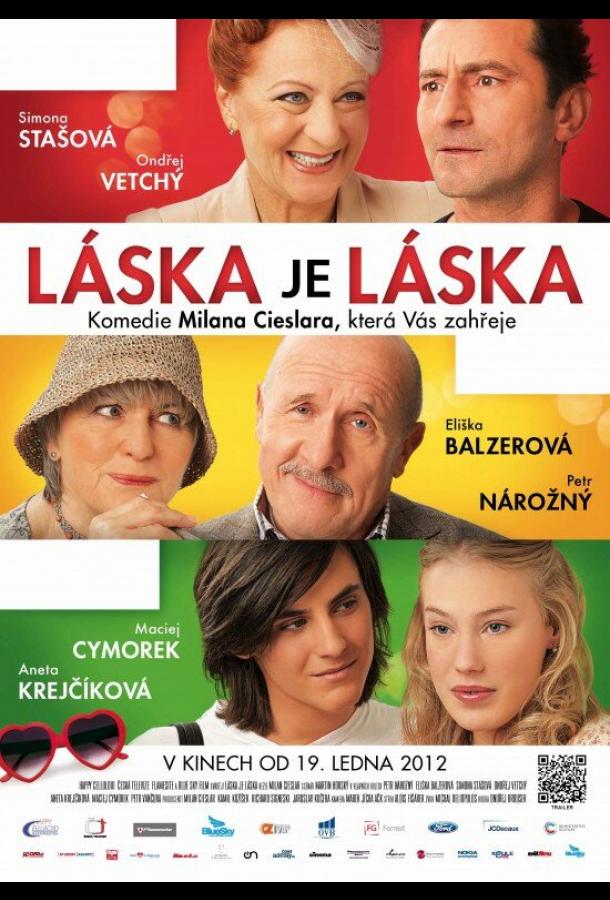 Любовь есть любовь (2012)