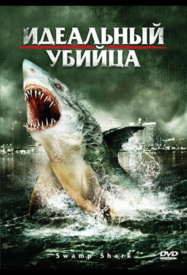 Идеальный убийца (2011)